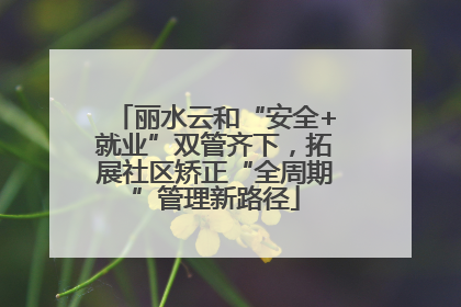 丽水云和“安全+就业”双管齐下，拓展社区矫正“全周期”管理新路径