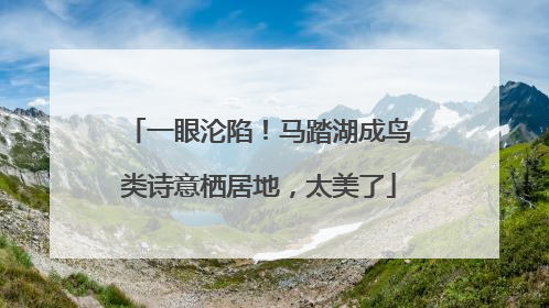 一眼沦陷！马踏湖成鸟类诗意栖居地，太美了