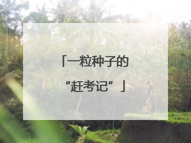 一粒种子的“赶考记”