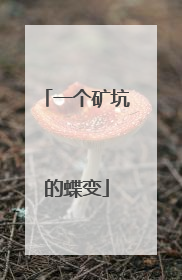 一个矿坑的蝶变