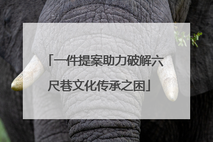 一件提案助力破解六尺巷文化传承之困
