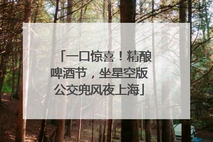 一口惊喜！精酿啤酒节，坐星空版公交兜风夜上海