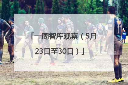一周智库观察（5月23日至30日）