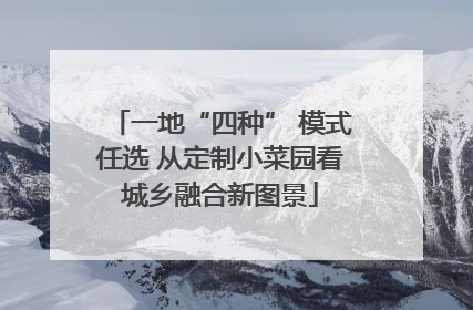 一地“四种” 模式任选 从定制小菜园看城乡融合新图景