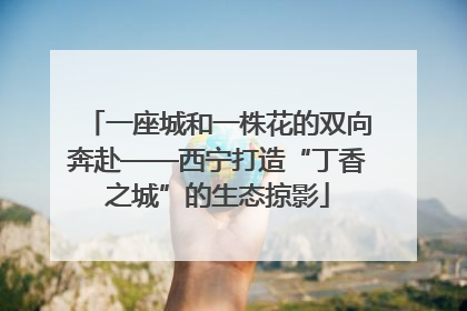一座城和一株花的双向奔赴——西宁打造“丁香之城”的生态掠影
