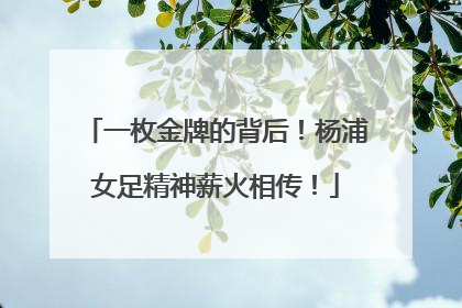 一枚金牌的背后！杨浦女足精神薪火相传！