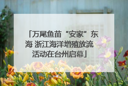 万尾鱼苗“安家”东海 浙江海洋增殖放流活动在台州启幕