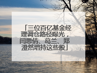 三位百亿基金经理调仓路径曝光，闫思倩、葛兰、郑澄然增持这些股
