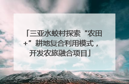 三亚水蛟村探索“农田+”耕地复合利用模式，开发农旅融合项目