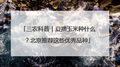 三农科普｜夏播玉米种什么？北京推荐这些优秀品种
