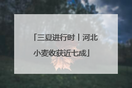 三夏进行时丨河北小麦收获近七成