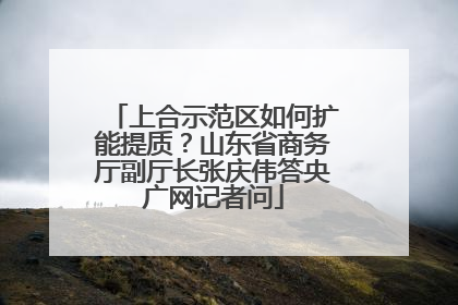 上合示范区如何扩能提质？山东省商务厅副厅长张庆伟答央广网记者问