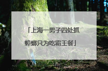 上海一男子四处抓蟑螂只为吃霸王餐