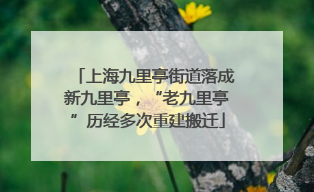 上海九里亭街道落成新九里亭，“老九里亭”历经多次重建搬迁