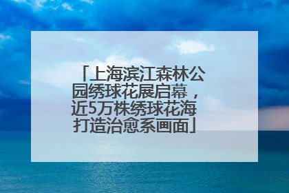 上海滨江森林公园绣球花展启幕，近5万株绣球花海打造治愈系画面