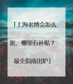 上海老博会怎么逛、哪里有补贴？最全指南出炉