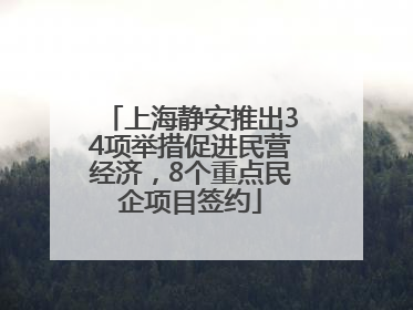 上海静安推出34项举措促进民营经济，8个重点民企项目签约