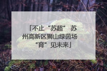 不止“苏超” 苏州高新区狮山绿茵场“育”见未来