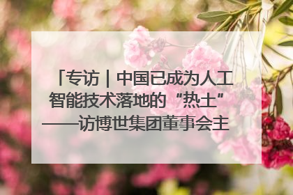 专访｜中国已成为人工智能技术落地的“热土”——访博世集团董事会主席斯特凡·哈通