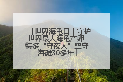 世界海龟日丨守护世界最大海龟产卵 特多“守夜人”坚守海滩30多年