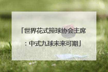 世界花式撞球协会主席：中式九球未来可期