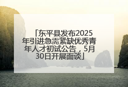 东平县发布2025年引进急需紧缺优秀青年人才初试公告，5月30日开展面谈