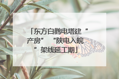 东方白鹳电塔建“产房” “陕电入皖”架线延工期