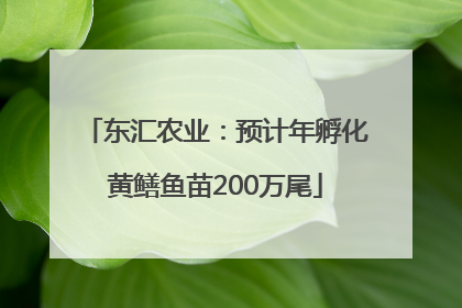 东汇农业：预计年孵化黄鳝鱼苗200万尾