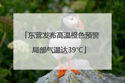 东营发布高温橙色预警 局部气温达39℃