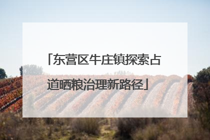 东营区牛庄镇探索占道晒粮治理新路径