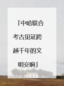 中哈联合考古见证跨越千年的文明交响