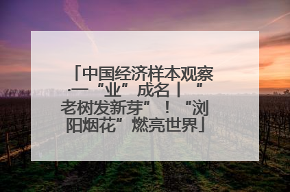 中国经济样本观察·一“业”成名丨“老树发新芽”！“浏阳烟花”燃亮世界