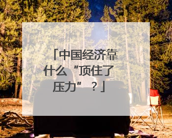 中国经济靠什么“顶住了压力”？