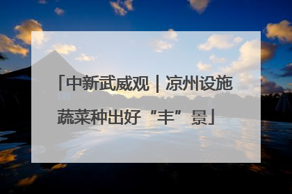 中新武威观｜凉州设施蔬菜种出好“丰”景
