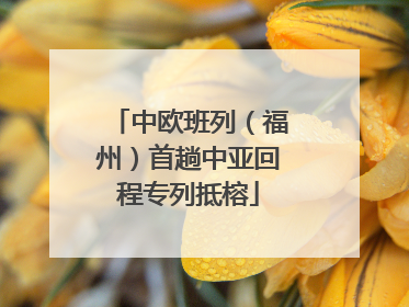 中欧班列（福州）首趟中亚回程专列抵榕