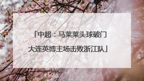 中超：马莱莱头球破门 大连英博主场击败浙江队