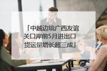 中越边境广西友谊关口岸前5月进出口货运量增长超三成