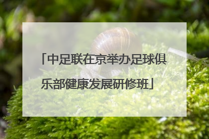 中足联在京举办足球俱乐部健康发展研修班