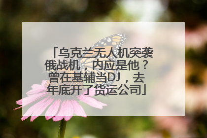 乌克兰无人机突袭俄战机，内应是他？曾在基辅当DJ，去年底开了货运公司