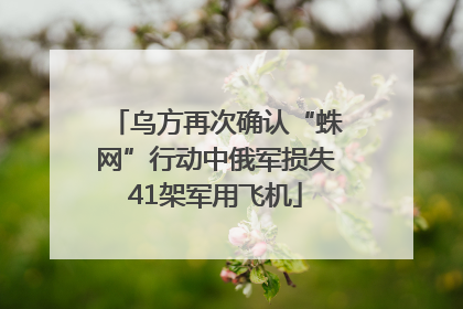 乌方再次确认“蛛网”行动中俄军损失41架军用飞机