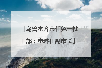乌鲁木齐市任免一批干部：申琳任副市长