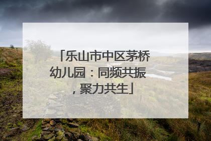 乐山市中区茅桥幼儿园：同频共振，聚力共生