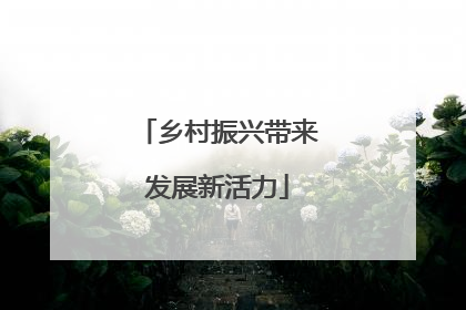 乡村振兴带来发展新活力