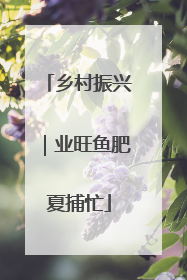 乡村振兴｜业旺鱼肥夏捕忙