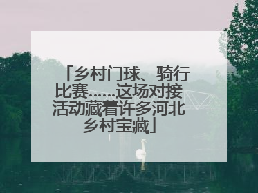 乡村门球、骑行比赛……这场对接活动藏着许多河北乡村宝藏