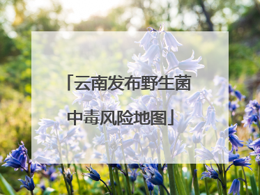 云南发布野生菌中毒风险地图