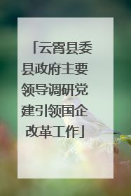 云霄县委县政府主要领导调研党建引领国企改革工作