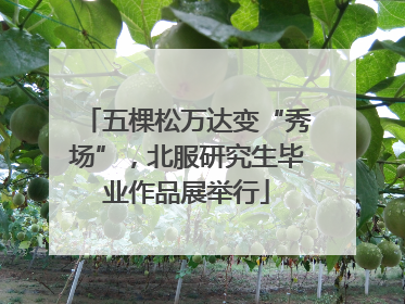 五棵松万达变“秀场”，北服研究生毕业作品展举行