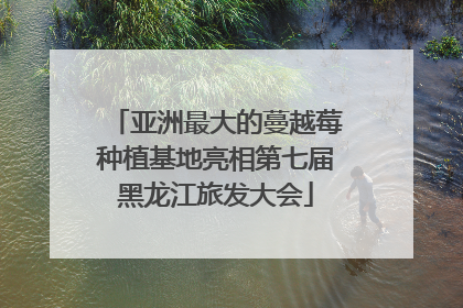亚洲最大的蔓越莓种植基地亮相第七届黑龙江旅发大会
