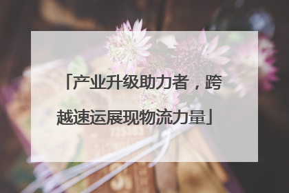 产业升级助力者，跨越速运展现物流力量